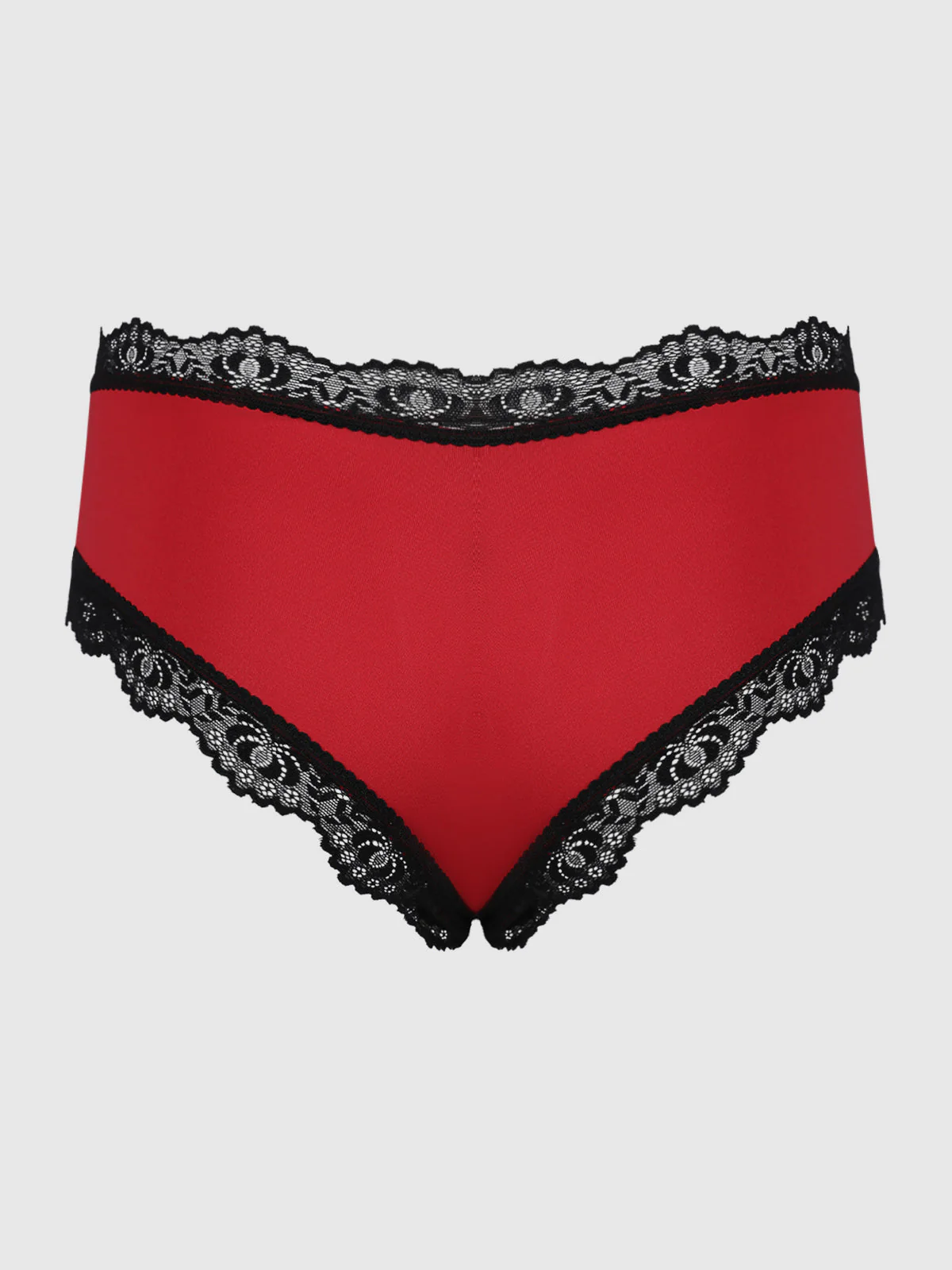 Jenna Micro & V-Front Lace Hipster - Image 2